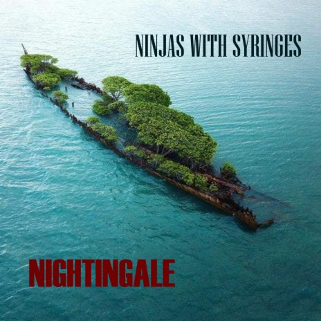 Nightingale | Boomplay Music