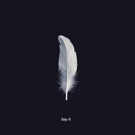 Say It | Boomplay Music