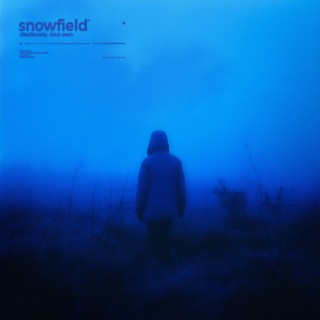 snowfield | Boomplay Music