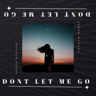 Don't Let Me Go lyrics | Boomplay Music