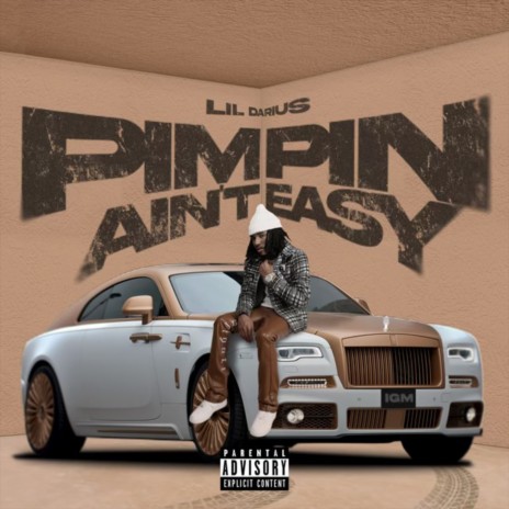 Pimpin Ain't Easy | Boomplay Music