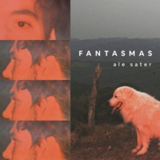 Fantasmas