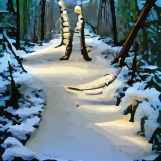 Snowy Path