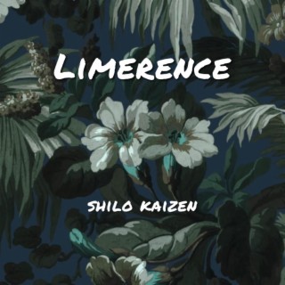 Limerence lyrics | Boomplay Music