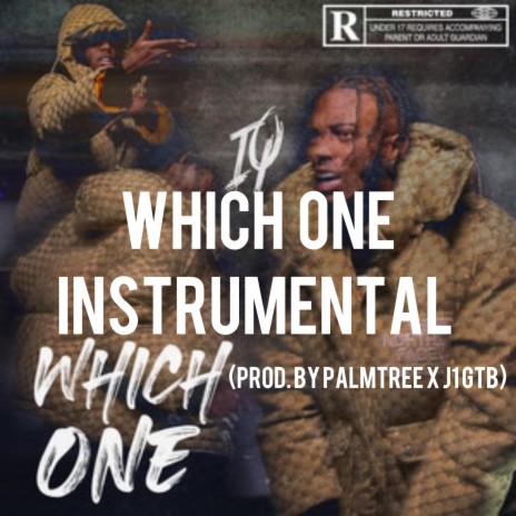 Which One (Official Instrumental) | Boomplay Music