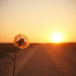 Tumbleweed Heart