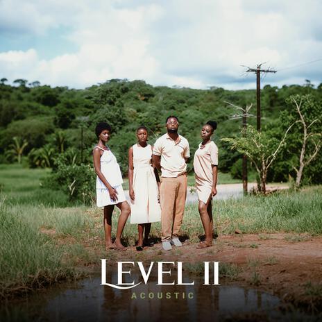 Level 2 (Acoustic) | Boomplay Music