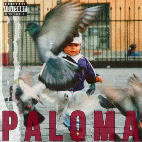 Paloma | Boomplay Music