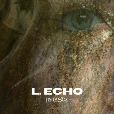 L. Echo | Boomplay Music