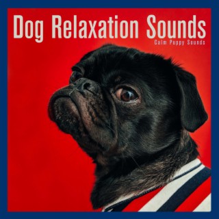 Dog Relaxation Sounds: Calm Puppy Sounds