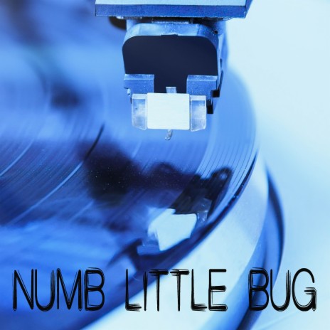 Numb Little Bug (Originally Performed by Em Biehold) [Instrumental] | Boomplay Music