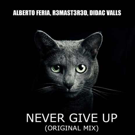 Never Give Up (Original Mix) ft. R3MAST3R3D & Didac Valls | Boomplay Music
