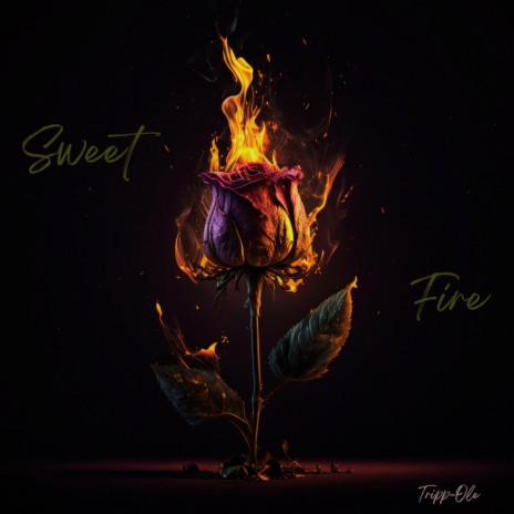 Sweet Fire | Boomplay Music