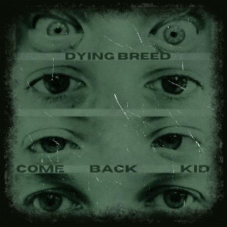 Comeback Kid | Boomplay Music