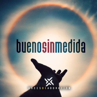 Bueno Sin Medida lyrics | Boomplay Music