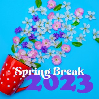 Spring Break 2023 – Waiting For Sunny Days