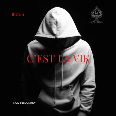 C’est la vie | Boomplay Music