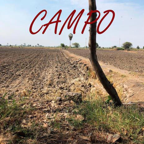 Campo