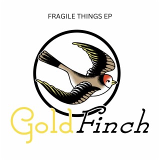 Fragile Things EP