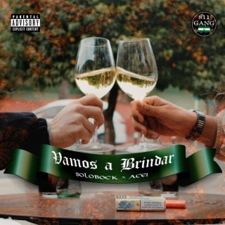 Vamos a Brindar ft. Ace1 lyrics | Boomplay Music