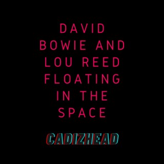 David Bowie And Lou Reed Floating in the Space