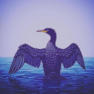 Cormorant Song