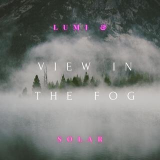 View in the fog