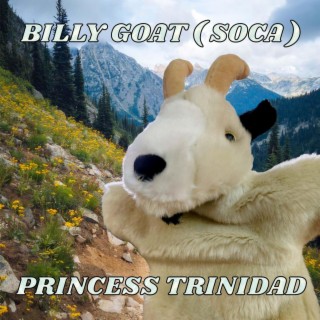 BILLY GOAT (SOCA)