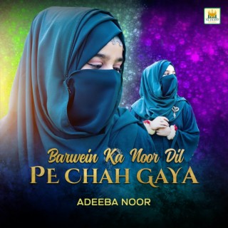 Barwein Ka Noor Dil Pe Chah Gaya