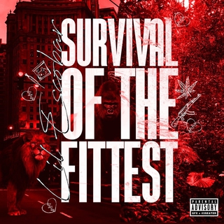 SOTF: Survival Of The Fittest