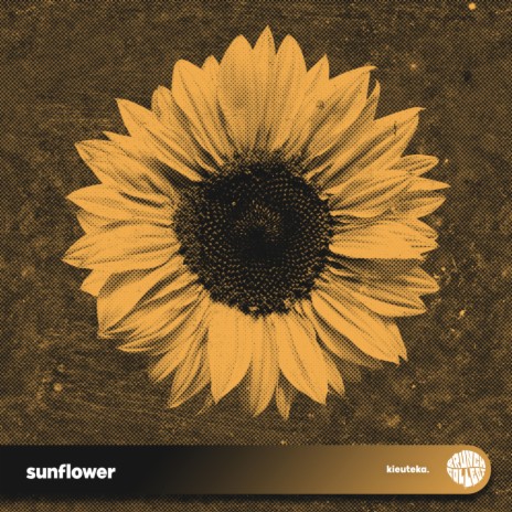 sunflower | Boomplay Music