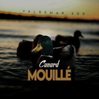 Canard Mouillé lyrics | Boomplay Music