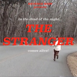 The Stranger lyrics | Boomplay Music