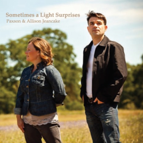 Sometimes a Light Surprises | Boomplay Music