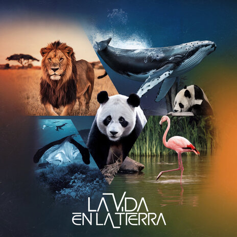 La Vida En La Tierra | Boomplay Music