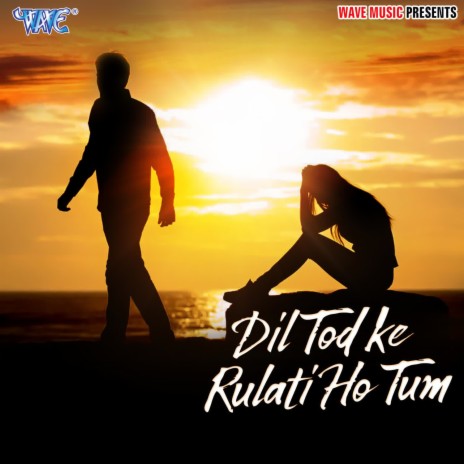 Dil Tod Ke Rulati Ho Tum | Boomplay Music