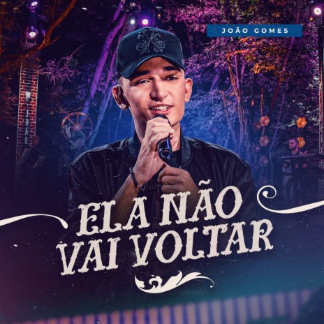 Ela Não Vai Voltar | Boomplay Music