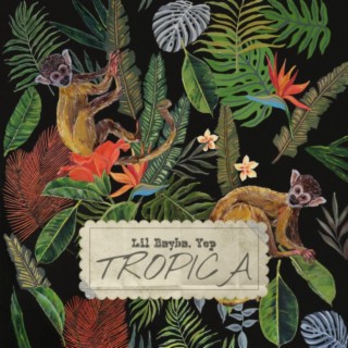 Tropica