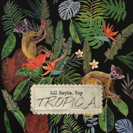 Tropica ft. Yep | Boomplay Music