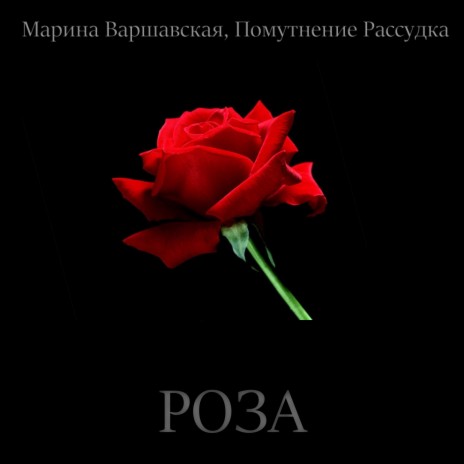 Роза ft. Марина Варшавская | Boomplay Music