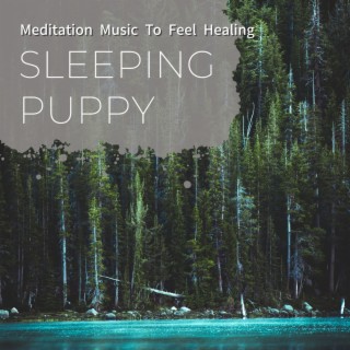 Meditation Music to Feel Healing