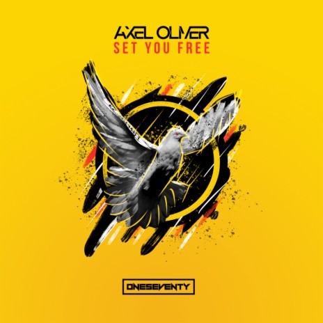 Set You Free | Boomplay Music