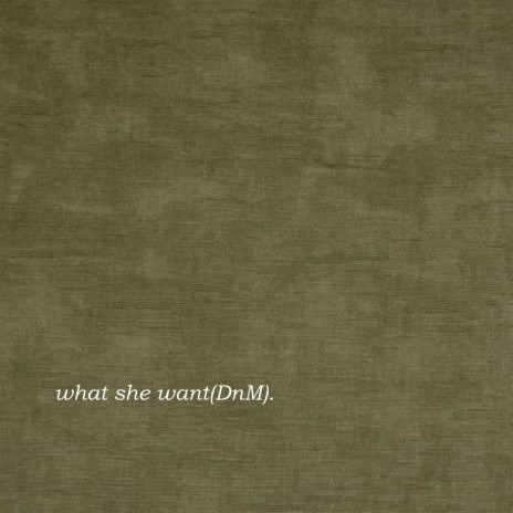 what she want(DnM)