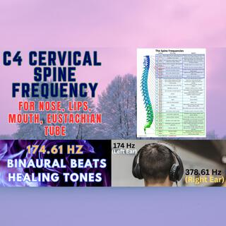 C4 Spine Frequency: 174.61 Hz