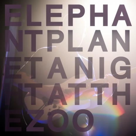 elephant ramble (the producer actually cut out half of it because it was too long and out of fear of the algorithm (praise be) (LIVE)