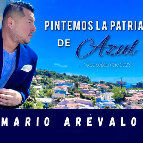 Pintemos la patria de azul | Boomplay Music