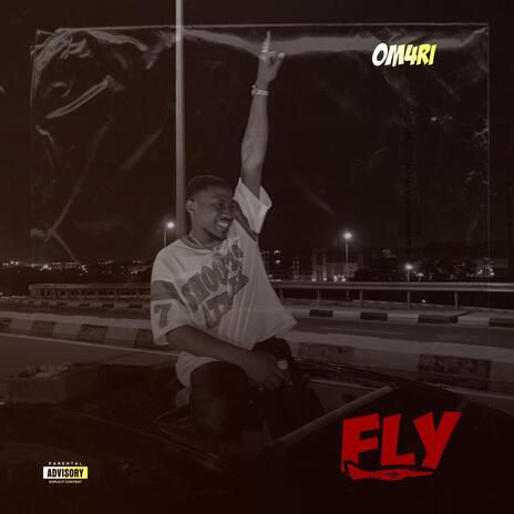 Fly | Boomplay Music