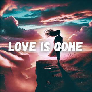 Love is gone