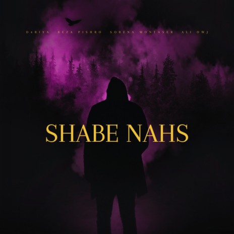 Shabe Nahs ft. Sorena Montaser, Reza Pishro & Ali Owj | Boomplay Music