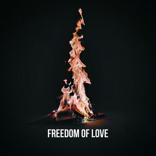 Freedom Of Love